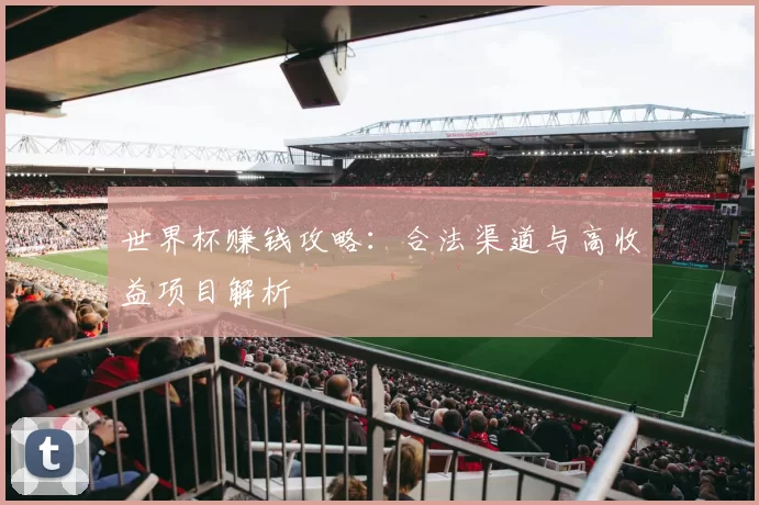 世界杯赚钱攻略：合法渠道与高收益项目解析