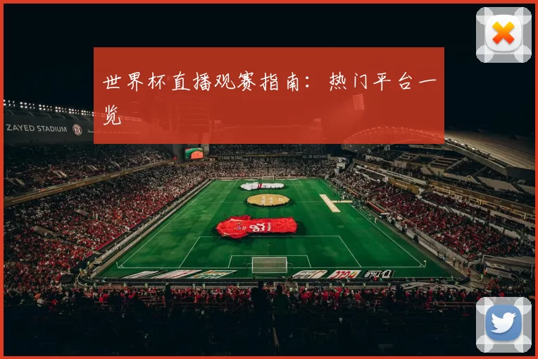 世界杯直播观赛指南：热门平台一览