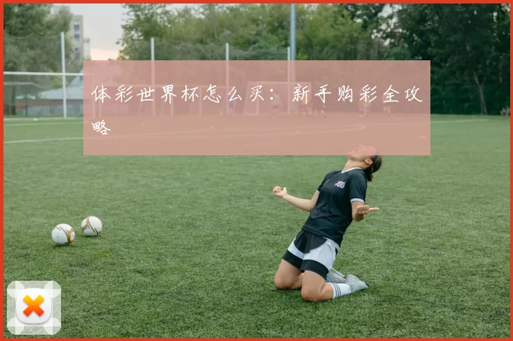 体彩世界杯怎么买：新手购彩全攻略