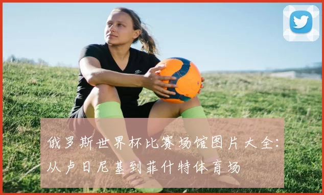 俄罗斯世界杯比赛场馆图片大全：从卢日尼基到菲什特体育场