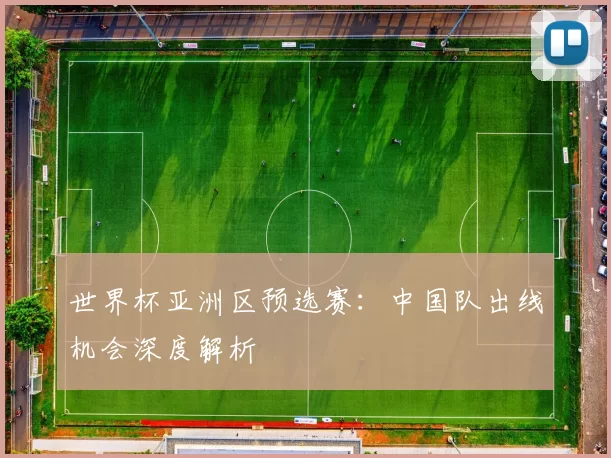 世界杯亚洲区预选赛:中国队出线机会深度解析