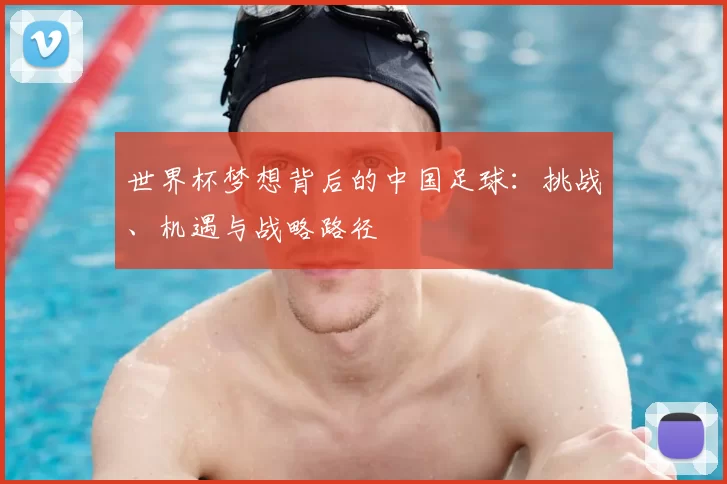 世界杯梦想背后的中国足球：挑战、机遇与战略路径