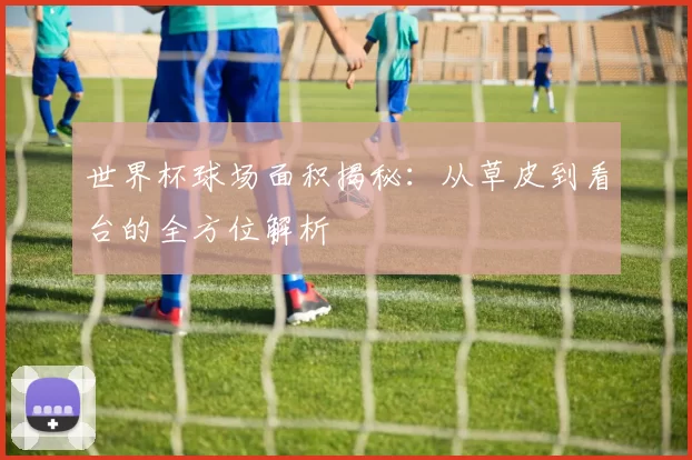 世界杯球场面积揭秘：从草皮到看台的全方位解析