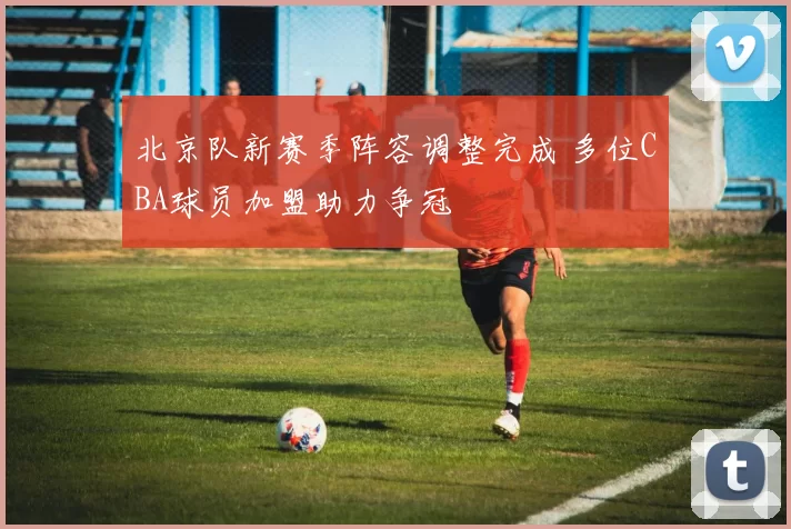 北京队新赛季阵容调整完成 多位CBA球员加盟助力争冠