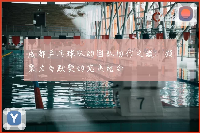 成都乒乓球队的团队协作之道:凝聚力与默契的完美结合