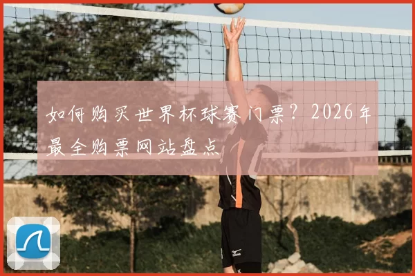 如何购买世界杯球赛门票？2026年最全购票网站盘点