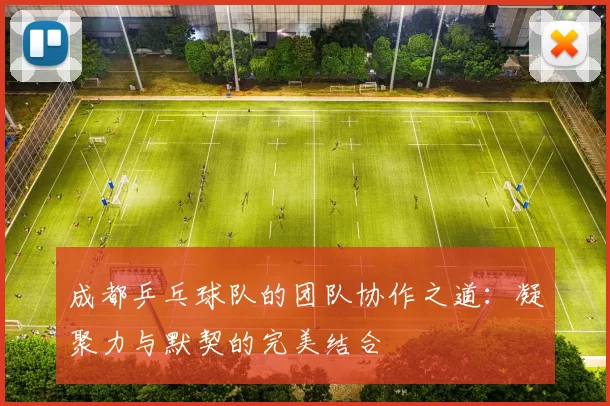 成都乒乓球队的团队协作之道:凝聚力与默契的完美结合