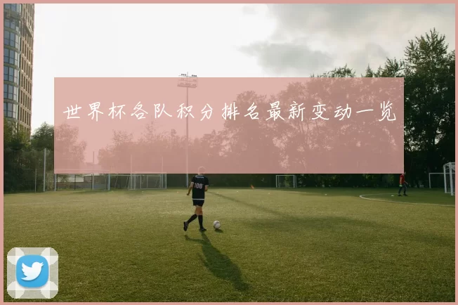 世界杯各队积分排名最新变动一览