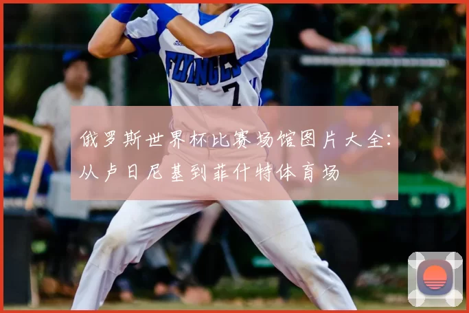俄罗斯世界杯比赛场馆图片大全：从卢日尼基到菲什特体育场